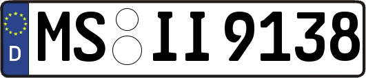 MS-II9138