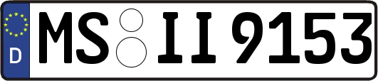 MS-II9153