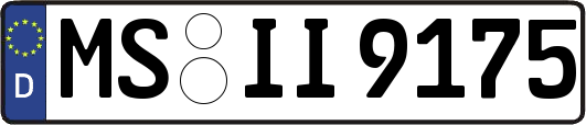 MS-II9175