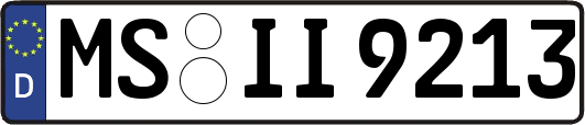 MS-II9213