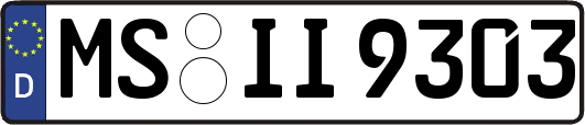 MS-II9303