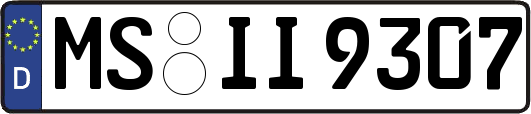 MS-II9307
