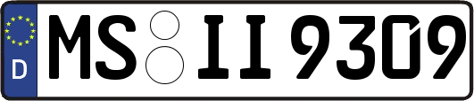 MS-II9309