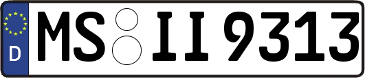 MS-II9313
