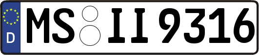 MS-II9316
