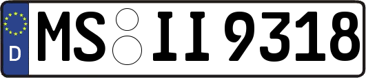 MS-II9318