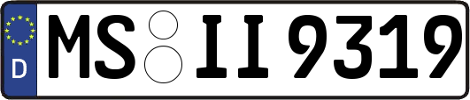 MS-II9319