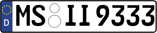 MS-II9333