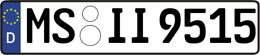 MS-II9515