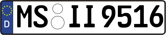 MS-II9516