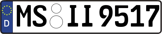 MS-II9517