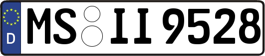 MS-II9528