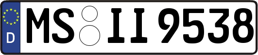 MS-II9538