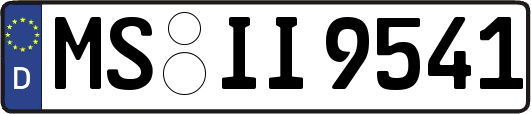 MS-II9541