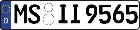 MS-II9565