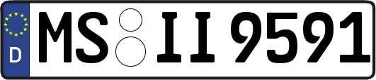MS-II9591