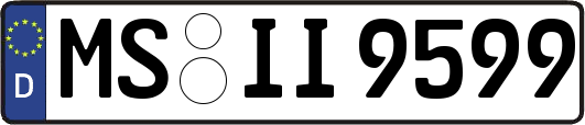 MS-II9599