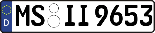 MS-II9653