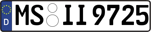 MS-II9725
