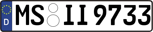 MS-II9733