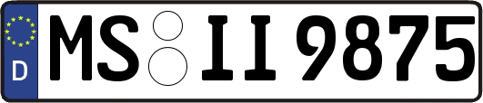 MS-II9875
