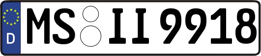 MS-II9918