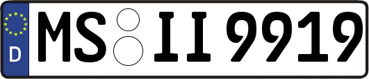 MS-II9919
