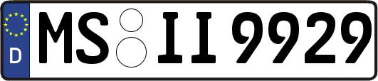 MS-II9929