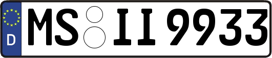 MS-II9933