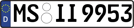 MS-II9953