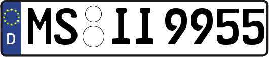 MS-II9955