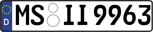 MS-II9963
