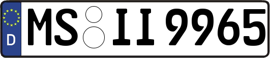 MS-II9965
