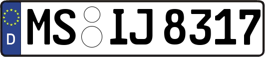 MS-IJ8317