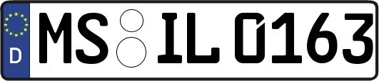 MS-IL0163