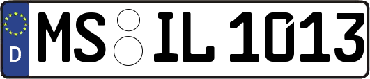 MS-IL1013