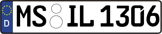 MS-IL1306
