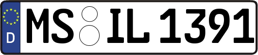 MS-IL1391