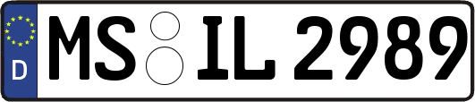 MS-IL2989