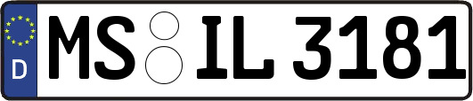 MS-IL3181