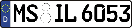 MS-IL6053