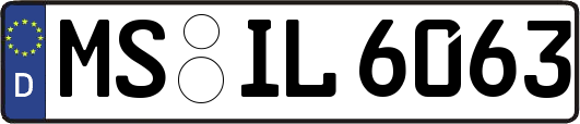 MS-IL6063