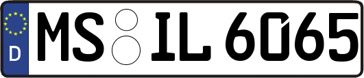 MS-IL6065