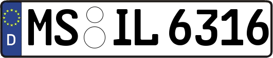 MS-IL6316