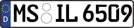 MS-IL6509