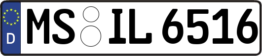 MS-IL6516