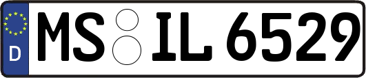 MS-IL6529