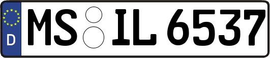 MS-IL6537