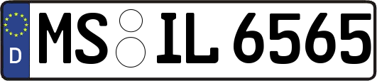 MS-IL6565