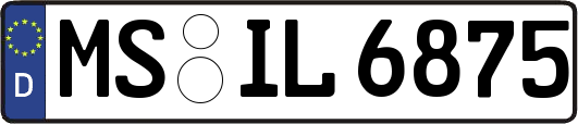 MS-IL6875